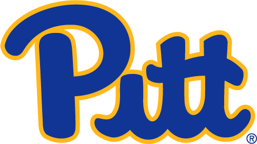 Pittsburgh Panthers 2019-Pres Primary Logo diy DTF decal sticker